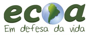 Cadeia produtiva do baru – boa, limpa e justa