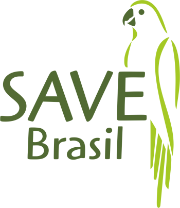 Rolinha-do-planalto: população de 31 indivíduos em todo o Brasil
