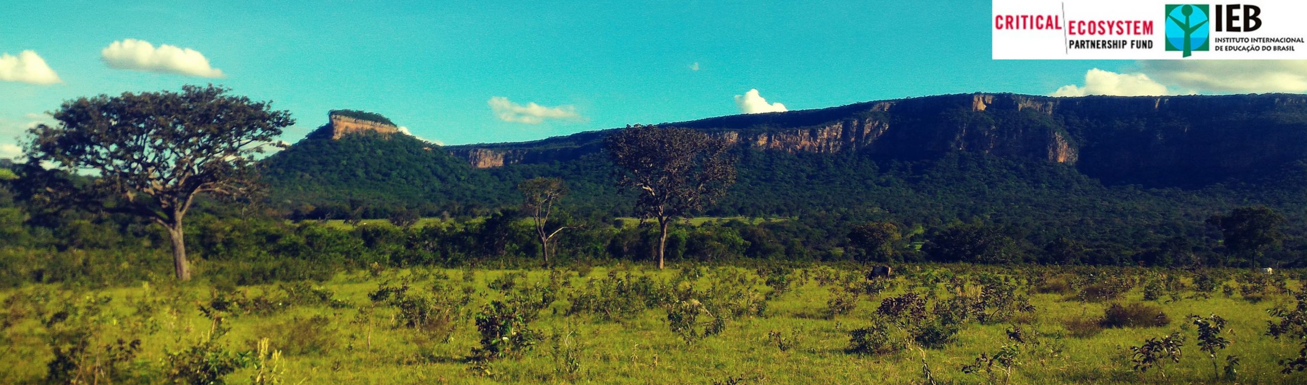 Sindicato dos Trabalhadores Rurais de Riacho dos Machados lança termo de referência para contratação de serviços em projeto apoiado pelo CEPF Cerrado