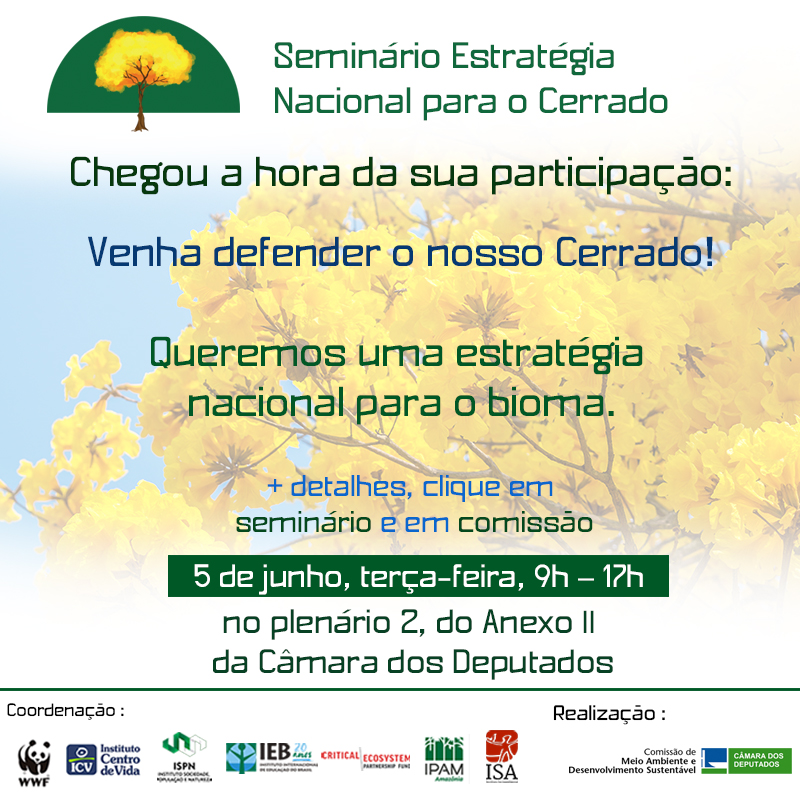 Organizações socioambientais querem pautar conservação do Cerrado nos programas dos candidatos à presidência
