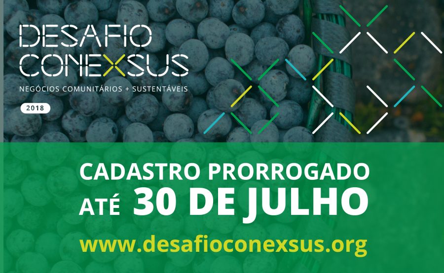 Desafio Conexsus 2018