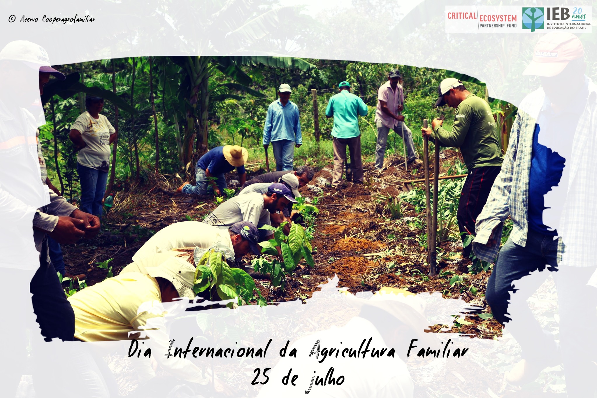 Florestas de Comida no Cerrado e o Dia Internacional da Agricultura Familiar | 25 de julho |