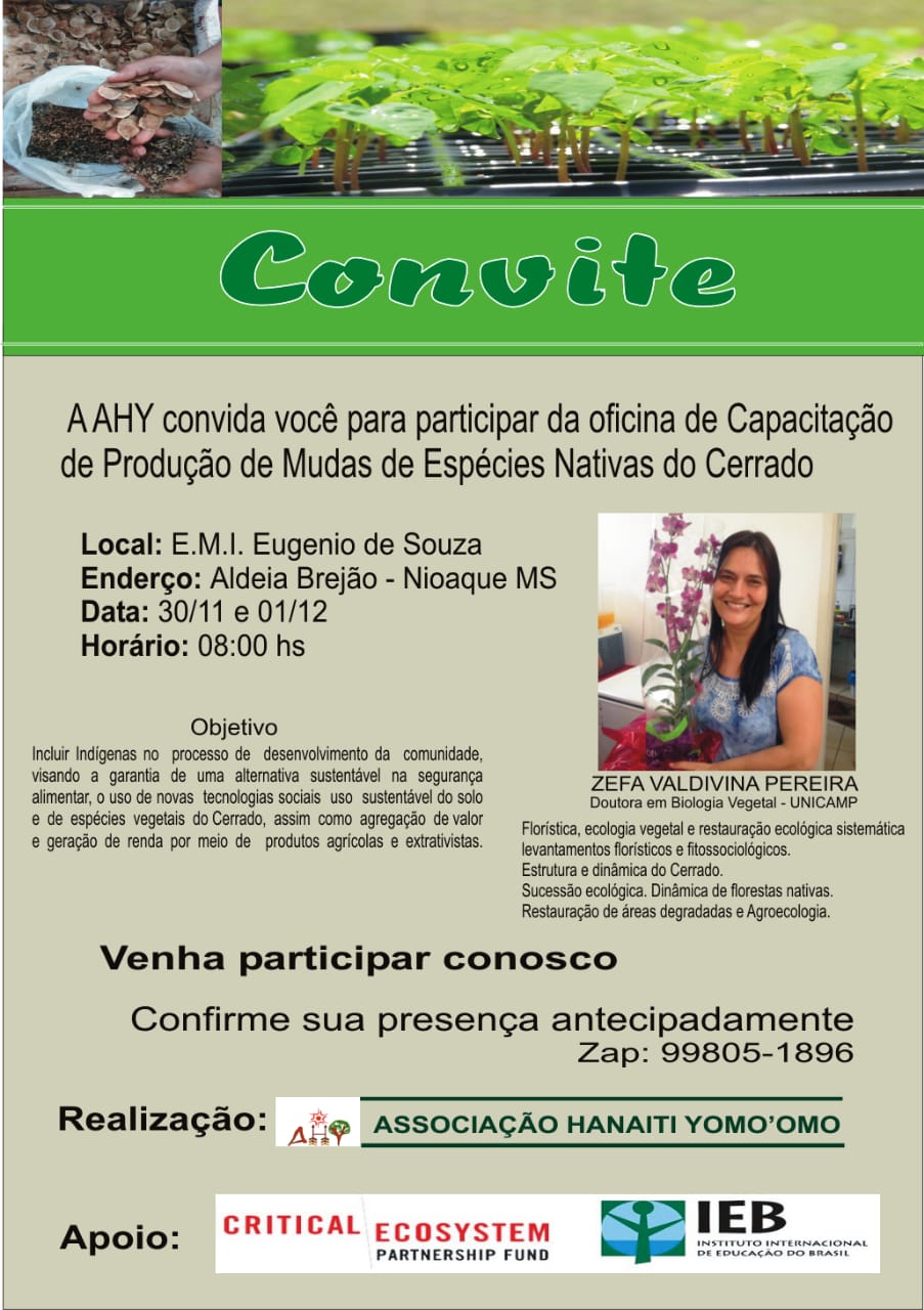 Projeto promove capacitação em produção de mudas de espécies nativas do Cerrado na Aldeia Brejão, Mato Grosso do Sul