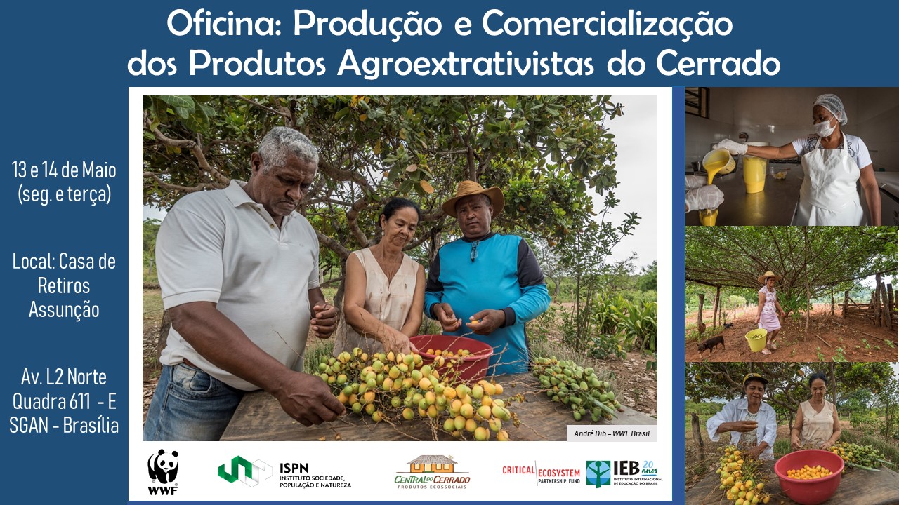 Oficina sobre produção e comercialização dos produtos agroextrativistas do Cerrado
