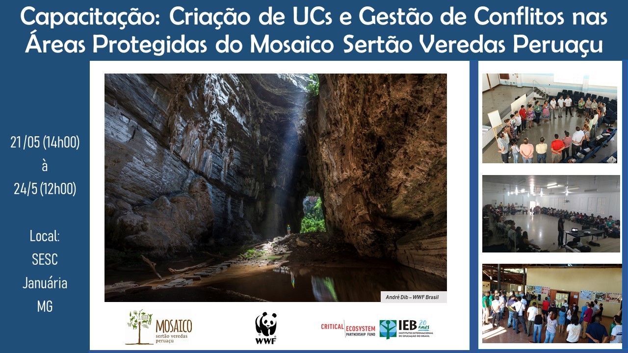 WWF-Brasil promoverá curso de criação de unidades de conservação e gestão de conflitos do Mosaico Sertão Veredas-Peruaçu