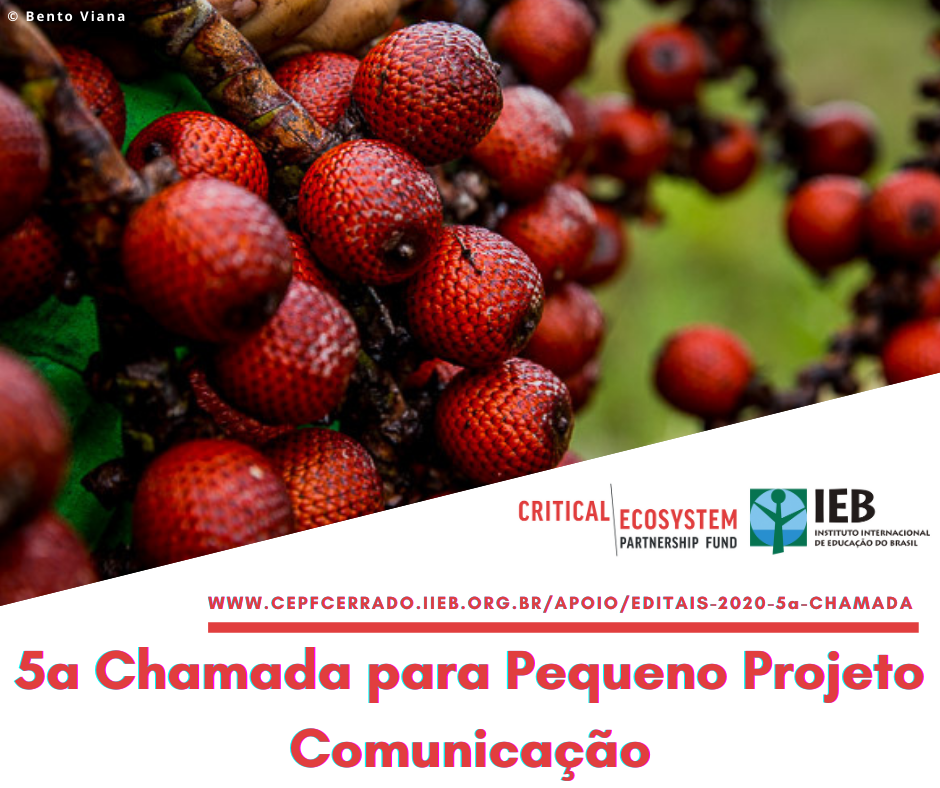 CEPF e IEB estão com chamada aberta para projeto de comunicação no hotspot Cerrado