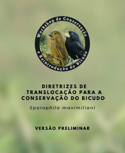 Bicudo: caça excessiva levou ave à extinção