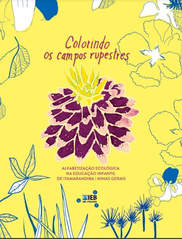 Livro “Colorindo os campos rupestres” promove educação ambiental nas escolas de Minas Gerais