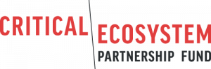 CEPF-Logo-Small.png