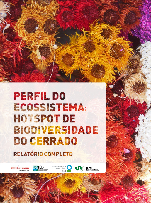 Perfil do Ecossistema: Hotspot de Biodiversidade do Cerrado – RELATÓRIO COMPLETO