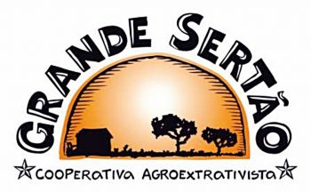 Viveiro de mudas para produção agroflorestal na Aldeia Brejão