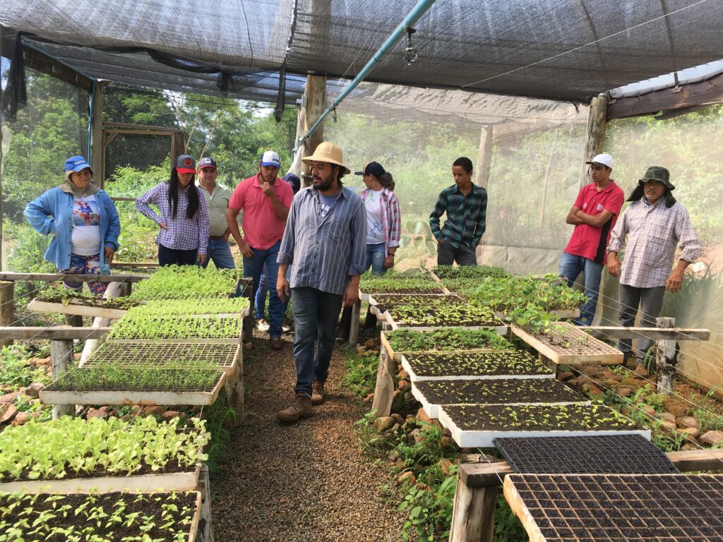 Escola agrícola goiana se destaca no desenvolvimento rural sustentável