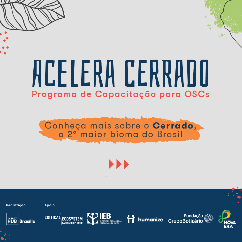 Rede Colaborativa investe na capacitação de atores da sociedade civil do Cerrado