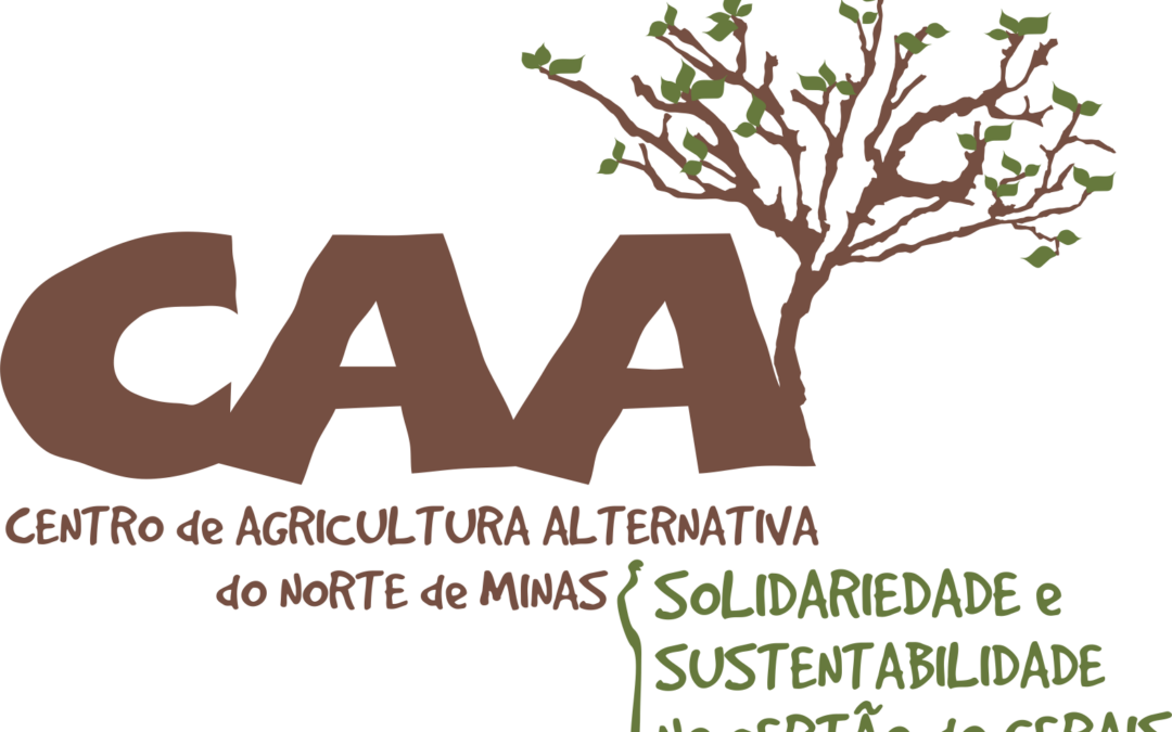 Fortalecimento dos Circuitos Econômicos da Sociobiodiversidade Geraizeira