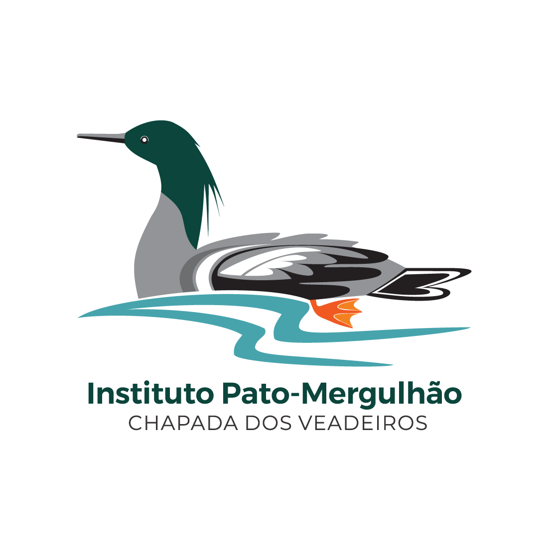 Mergus Para Sempre: Pato-Água-Gente